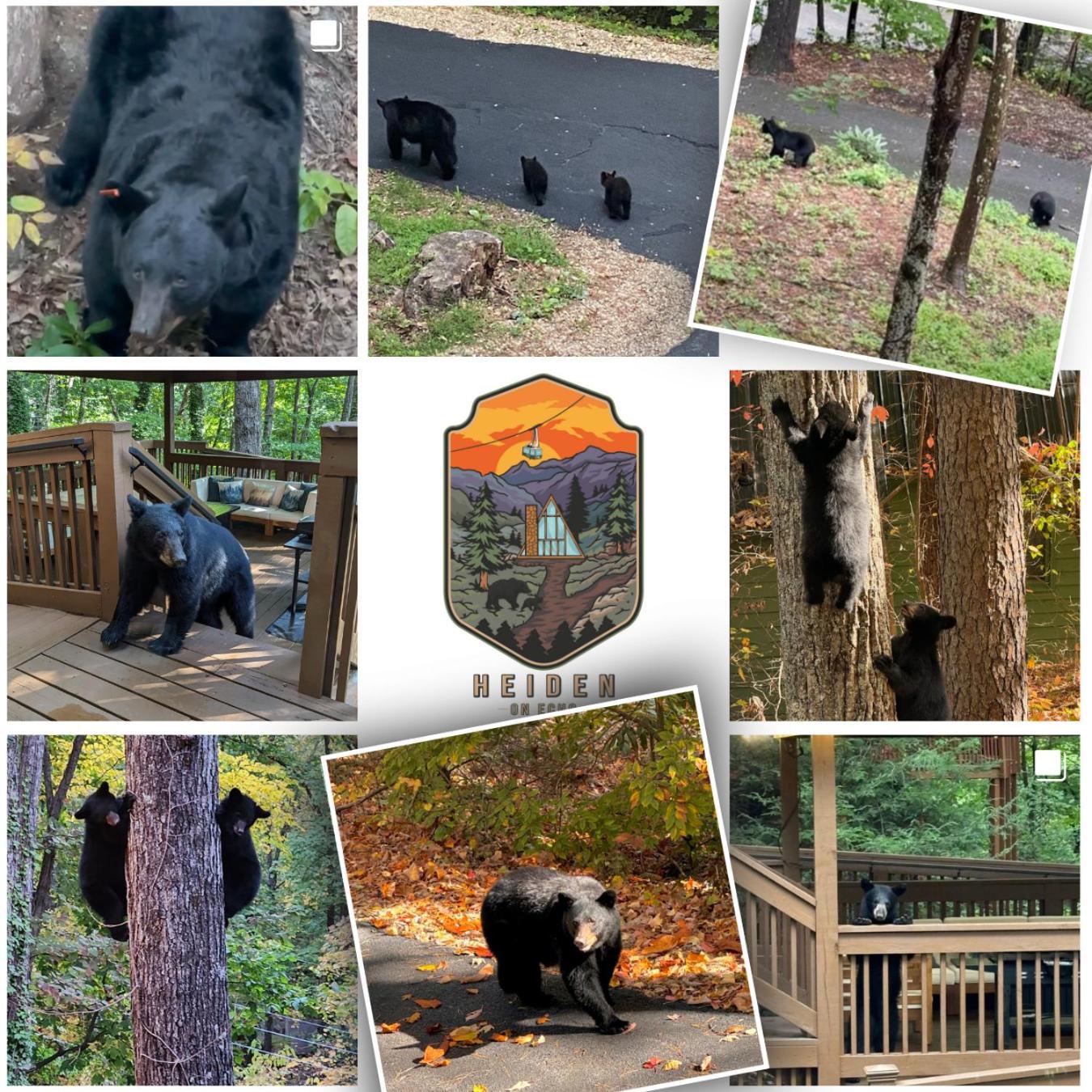 1Mile Downtown, Handicap Ramp, Hot Tub, Game Room Gatlinburg Buitenkant foto